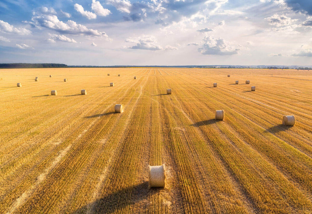 blog-bg-11 blog-bg-11